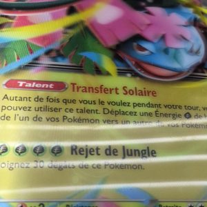 Cartes Pokémon jumbo Méga-Florizarre ex (FR)